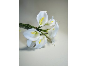 0300 Калла