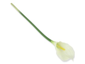 0617 Калла