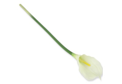 0617 Калла