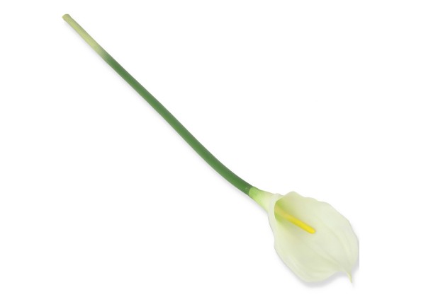 0617 Калла
