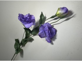 6604 Эустома