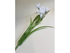 Подснежник
